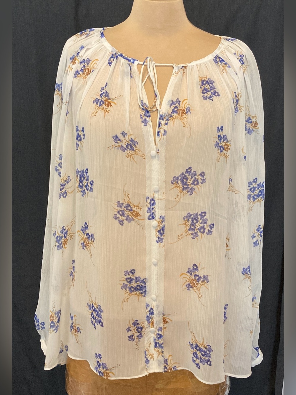 Industry Sheer White Peasant Blouse with Tie Neck and Blue Floral Pattern NWT